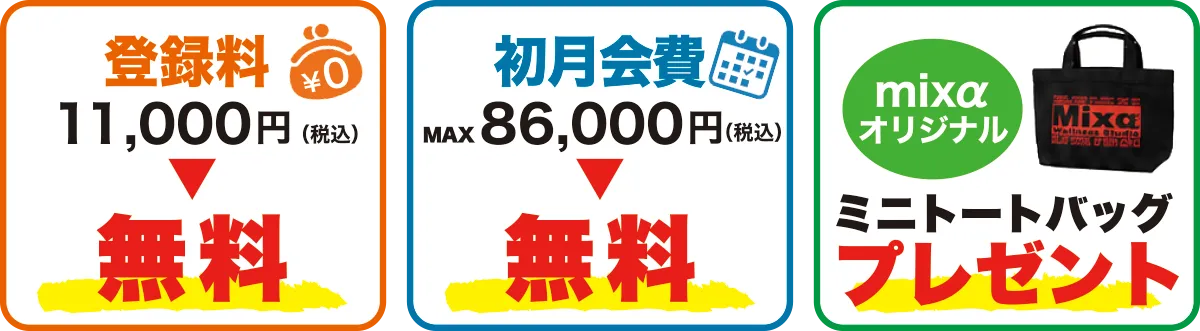 登録料11,000円(税込)→無料 1ヶ月分の会費(MAX 86,000円)→無料 mixαオリジナルミニトートバッグプレゼント